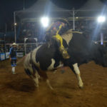 Buritama Rodeio Show